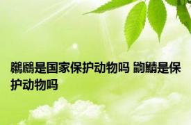 鸊鷉是国家保护动物吗 鼩鼱是保护动物吗