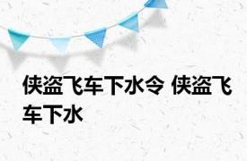 侠盗飞车下水令 侠盗飞车下水 