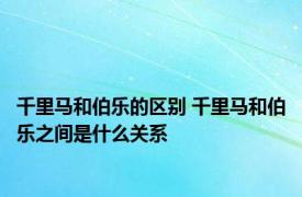 千里马和伯乐的区别 千里马和伯乐之间是什么关系