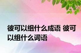 彼可以组什么成语 彼可以组什么词语