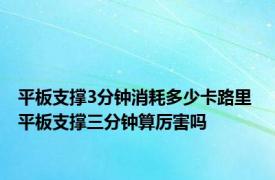 平板支撑3分钟消耗多少卡路里 平板支撑三分钟算厉害吗