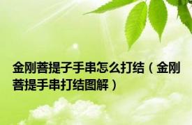 金刚菩提子手串怎么打结（金刚菩提手串打结图解）