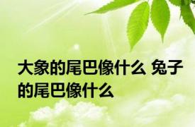 大象的尾巴像什么 兔子的尾巴像什么