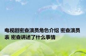 电视剧密查演员角色介绍 密查演员表 密查讲述了什么事情