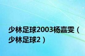 少林足球2003杨嘉雯（少林足球2）