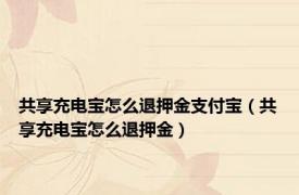 共享充电宝怎么退押金支付宝（共享充电宝怎么退押金）