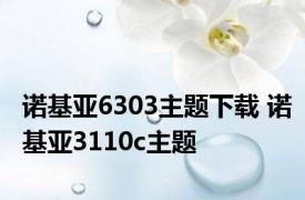 诺基亚6303主题下载 诺基亚3110c主题 