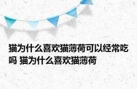 猫为什么喜欢猫薄荷可以经常吃吗 猫为什么喜欢猫薄荷