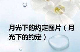 月光下的约定图片（月光下的约定）