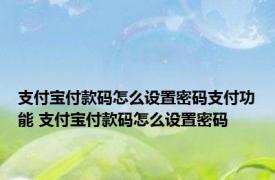 支付宝付款码怎么设置密码支付功能 支付宝付款码怎么设置密码