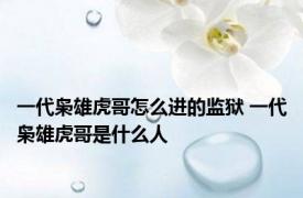 一代枭雄虎哥怎么进的监狱 一代枭雄虎哥是什么人