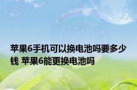 苹果6手机可以换电池吗要多少钱 苹果6能更换电池吗