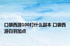 口袋西游100打什么副本 口袋西游白羽加点 