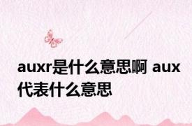 auxr是什么意思啊 aux代表什么意思