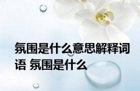 氛围是什么意思解释词语 氛围是什么