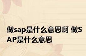 做sap是什么意思啊 做SAP是什么意思