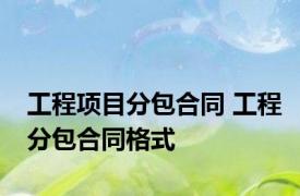 工程项目分包合同 工程分包合同格式