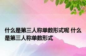 什么是第三人称单数形式呢 什么是第三人称单数形式