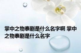 掌中之物泰剧是什么名字啊 掌中之物泰剧是什么名字