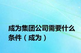 成为集团公司需要什么条件（成为）