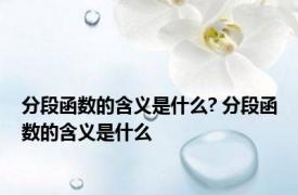 分段函数的含义是什么? 分段函数的含义是什么