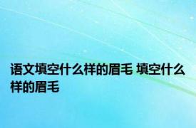 语文填空什么样的眉毛 填空什么样的眉毛