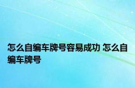 怎么自编车牌号容易成功 怎么自编车牌号