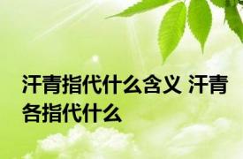 汗青指代什么含义 汗青各指代什么