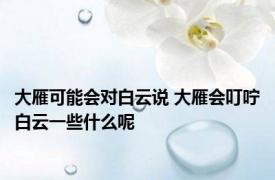 大雁可能会对白云说 大雁会叮咛白云一些什么呢