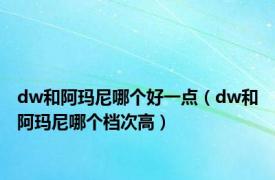 dw和阿玛尼哪个好一点（dw和阿玛尼哪个档次高）