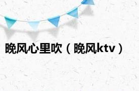 晚风心里吹（晚风ktv）