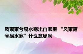 风萧萧兮易水寒出自哪里 “风萧萧兮易水寒”什么意思啊