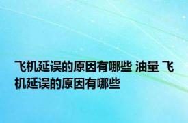 飞机延误的原因有哪些 油量 飞机延误的原因有哪些