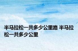 半马拉松一共多少公里路 半马拉松一共多少公里