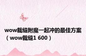 wow裁缝附魔一起冲的最佳方案（wow裁缝1 600）