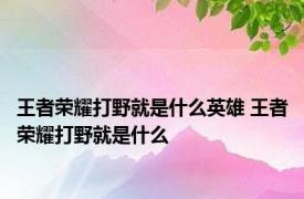 王者荣耀打野就是什么英雄 王者荣耀打野就是什么