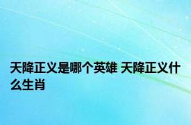 天降正义是哪个英雄 天降正义什么生肖