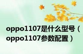 oppo1107是什么型号（oppo1107参数配置）