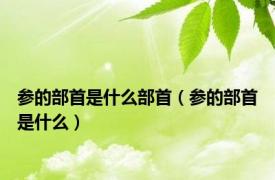 参的部首是什么部首（参的部首是什么）