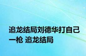 追龙结局刘德华打自己一枪 追龙结局