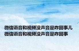 微信语音和视频没声音是咋回事儿 微信语音和视频没声音是咋回事