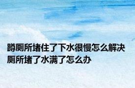 蹲厕所堵住了下水很慢怎么解决 厕所堵了水满了怎么办