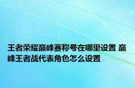 王者荣耀巅峰赛称号在哪里设置 巅峰王者战代表角色怎么设置