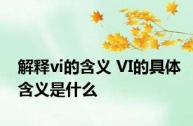 解释vi的含义 VI的具体含义是什么