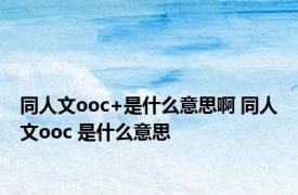 同人文ooc+是什么意思啊 同人文ooc 是什么意思