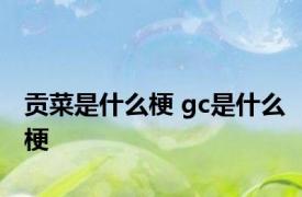 贡菜是什么梗 gc是什么梗