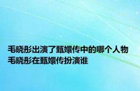 毛晓彤出演了甄嬛传中的哪个人物 毛晓彤在甄嬛传扮演谁