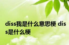 diss我是什么意思梗 diss是什么梗