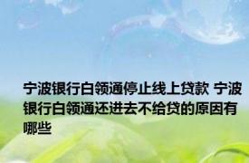 宁波银行白领通停止线上贷款 宁波银行白领通还进去不给贷的原因有哪些