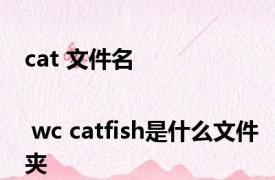 cat 文件名 | wc catfish是什么文件夹